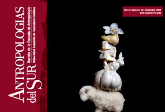 Edición N°16 nuevo número de Revista Antropologías del Sur ofrece perspectivas metodológicas y prácticas para la disciplina latinoamericana