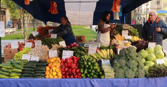 Economía y nutrición Docentes de la Academia analizan vías hacia una mayor seguridad y soberanía alimentaria