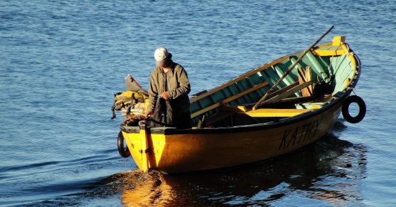 Nueva Ley de Pesca Docentes UAHC perfilan norma para reemplazar la controvertida Ley Longueira
