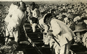 Edición número 25 nueva publicación de la revista Tiempo Histórico ofrece insumos para entender el desarrollo de los movimientos obreros en el Siglo XIX