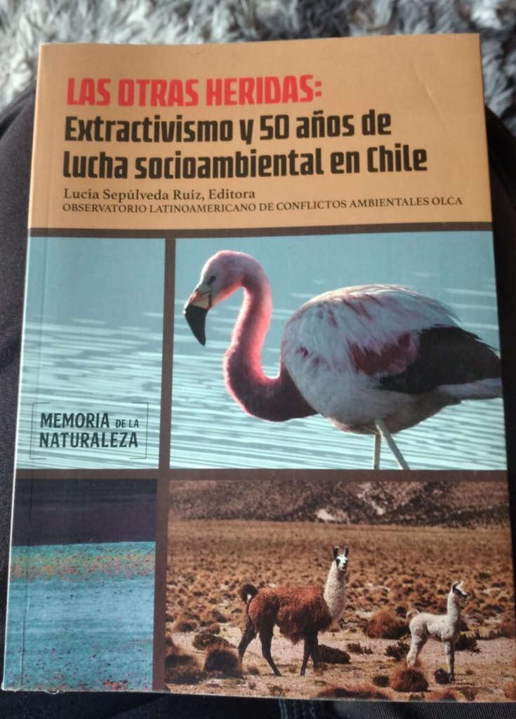 Docente de la carrera de Nutrición y dietética UAHC participa de publicación “Las Otras Heridas: Extractivismo y 50 años de lucha socioambiental en Chile”