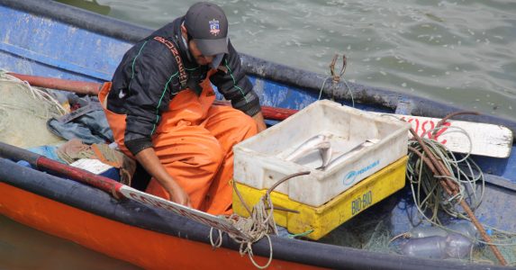 Docentes UAHC describen características que debería tener Nueva Ley de Pesca ante debate sobre viciada Ley Longueira