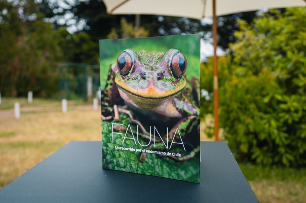 Artes y Cultura Santander y Museo Chileno de Arte Precolombino lanzan libro gratuito sobre fauna endémica chilena
