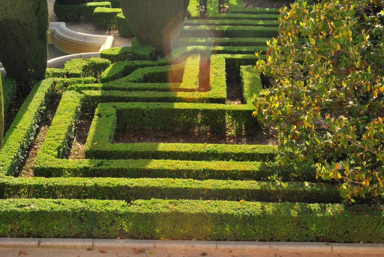 Columna del rector Álvaro Ramis: La izquierda en el laberinto de la seguridad