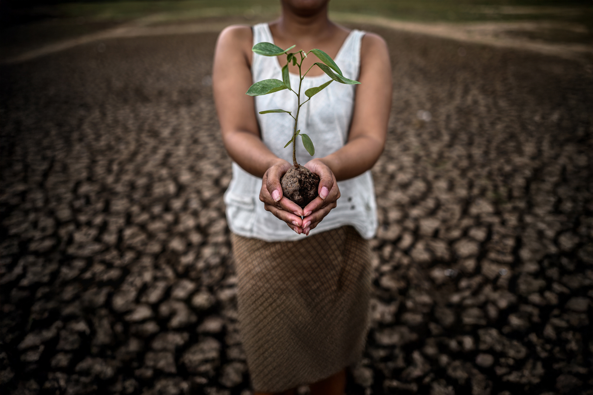 Curso Derecho Socioambiental, Pueblos Indígenas y Protección Jurídica Internacional