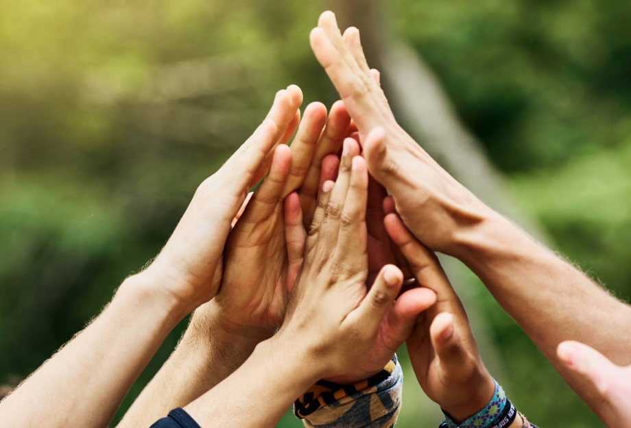 Diplomado Habilidades Directivas para el Bienestar Organizacional