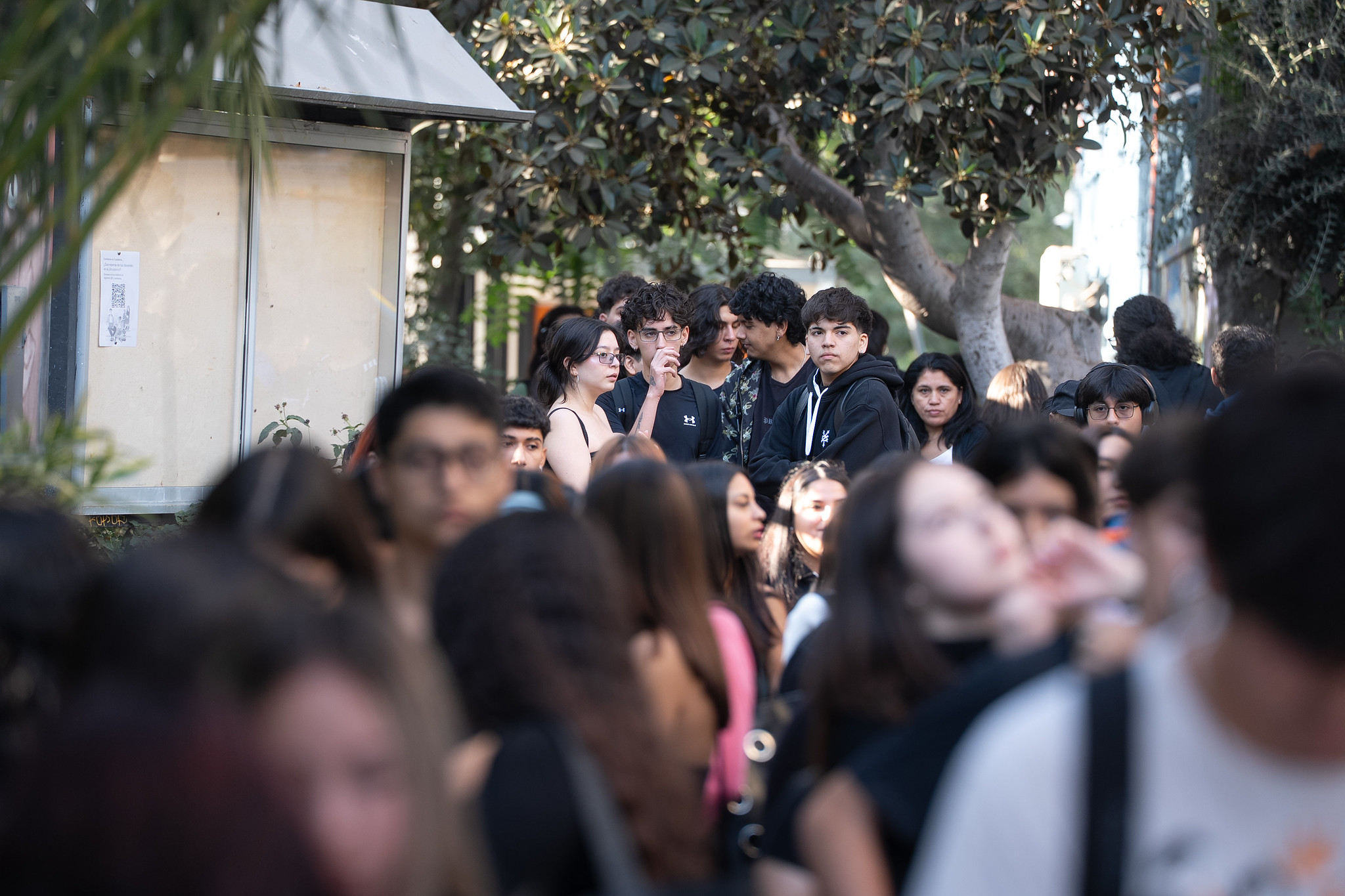 Conoce el proceso de reincorporación académica