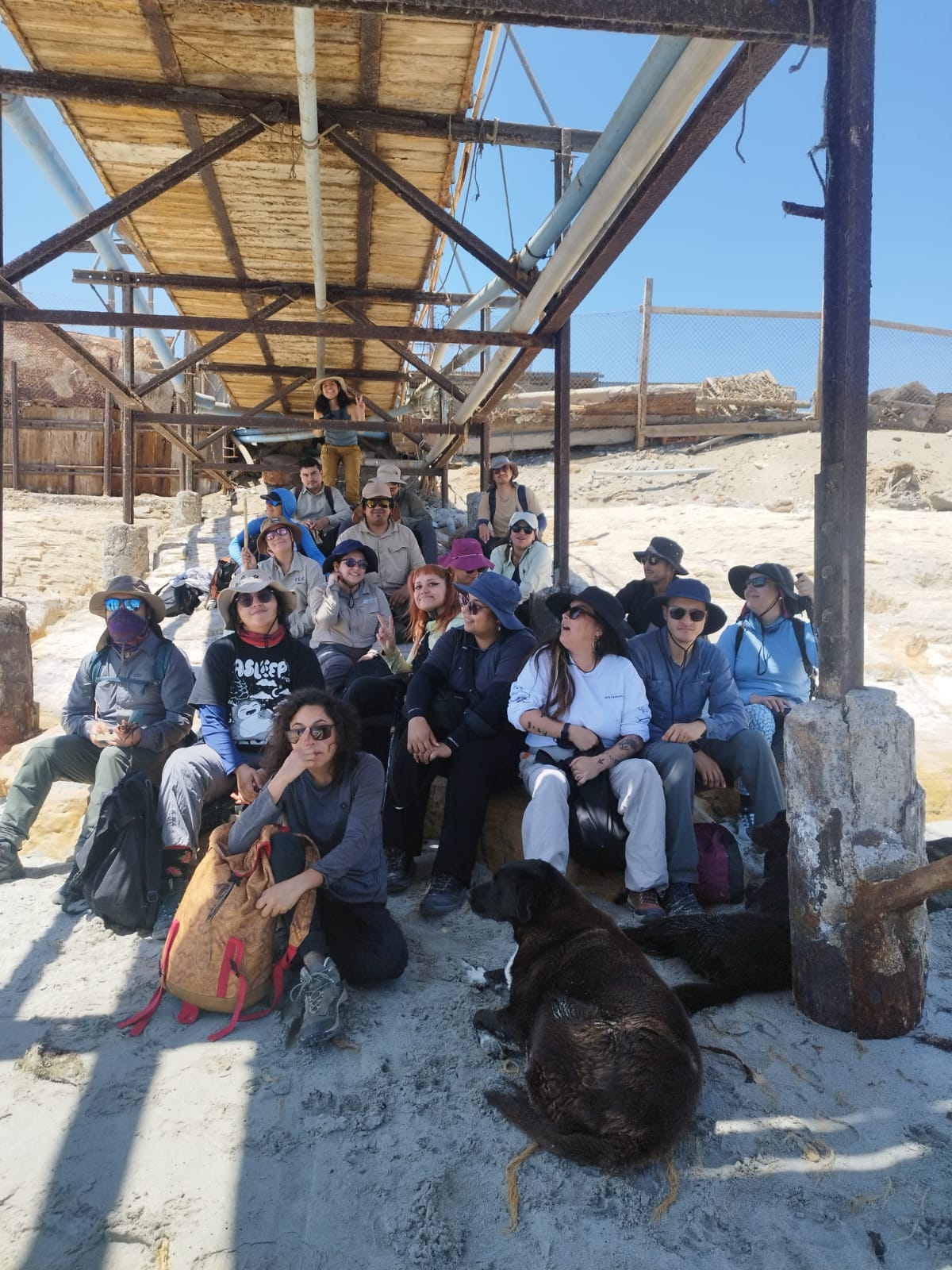 arqueología UAcademia