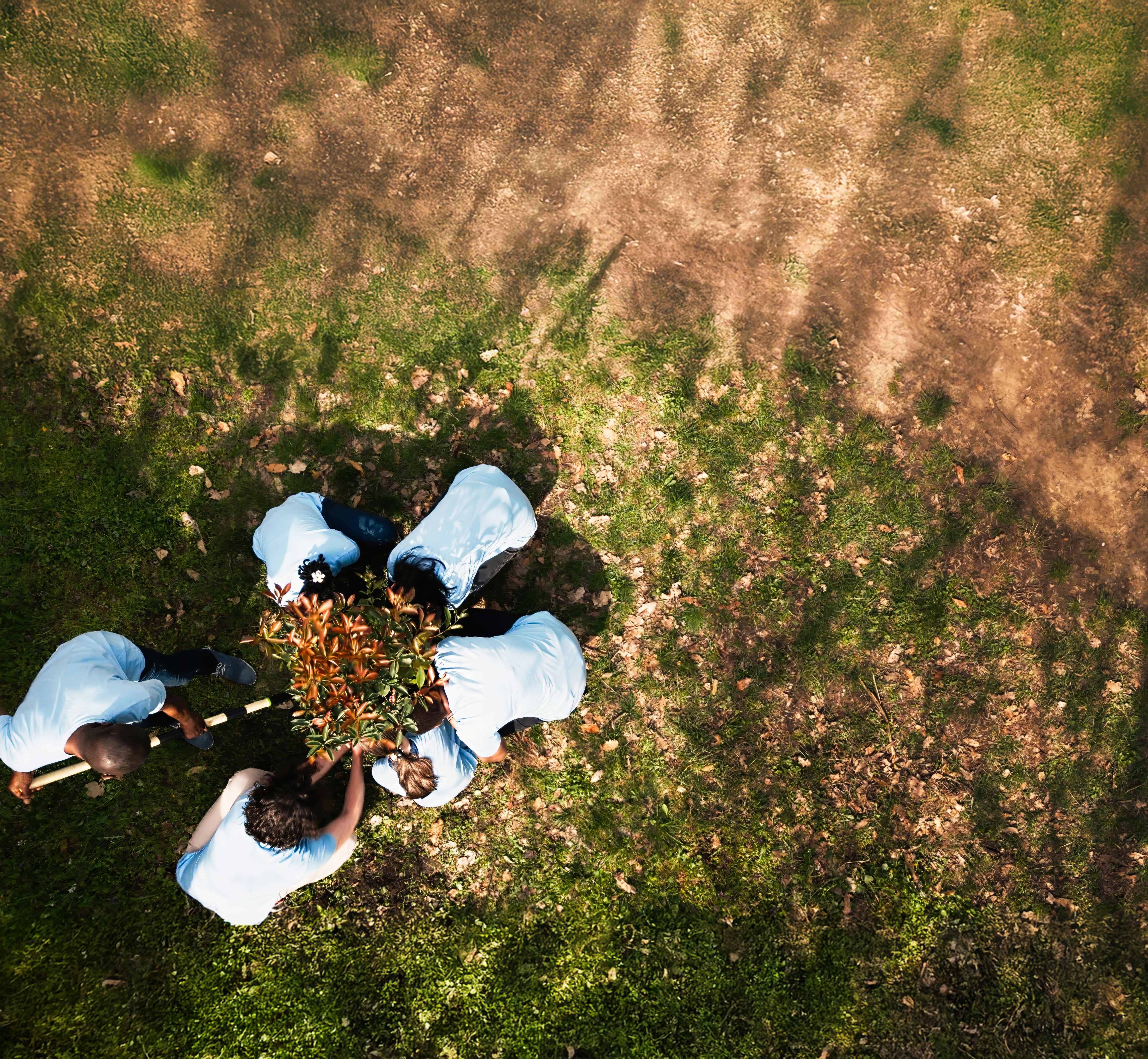 Diplomado en Salud Mental Comunitaria, Derechos Humanos y Ciudadanía