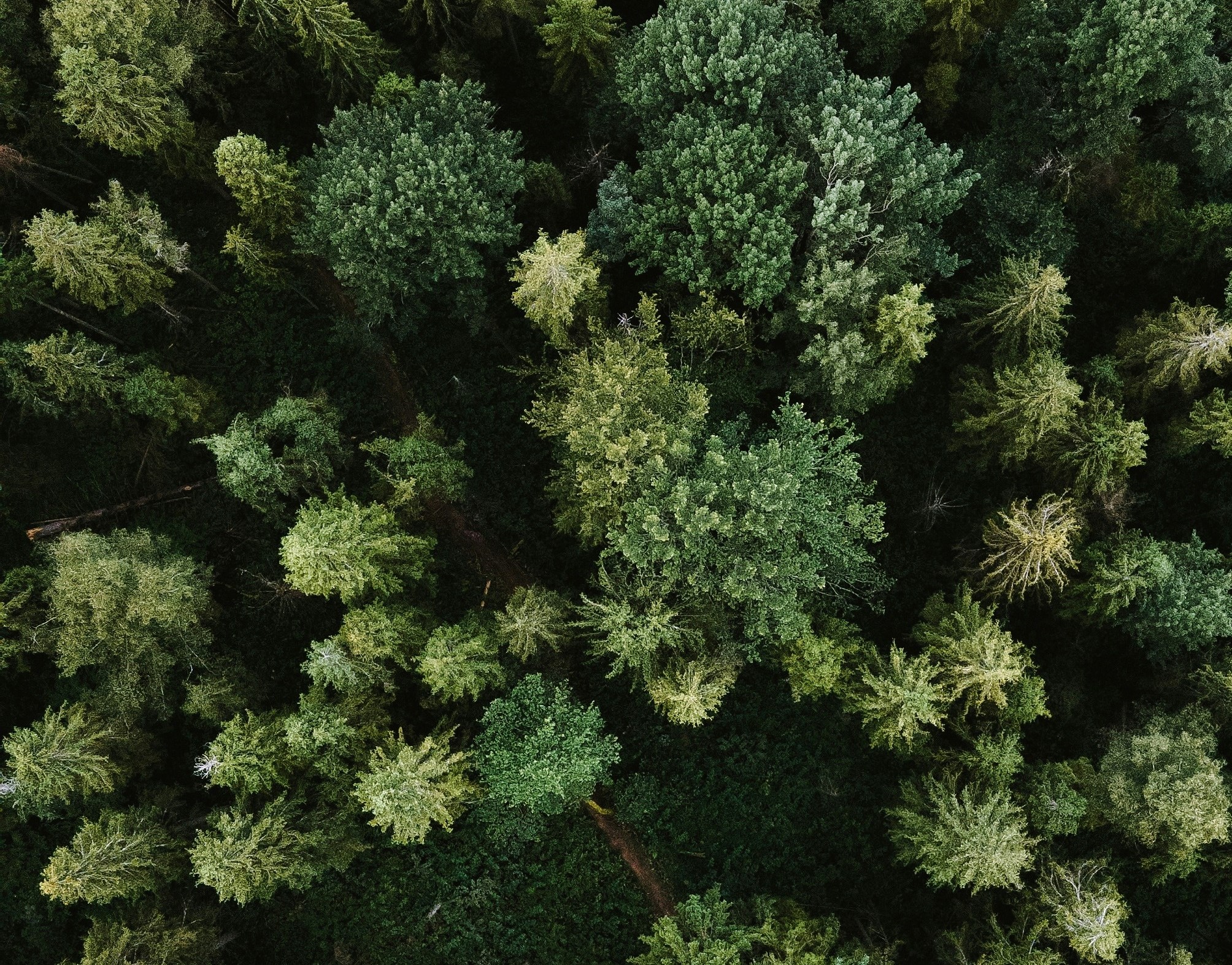 Álvaro Ramis: Hubo un tiempo en que caminábamos hacia el futuro