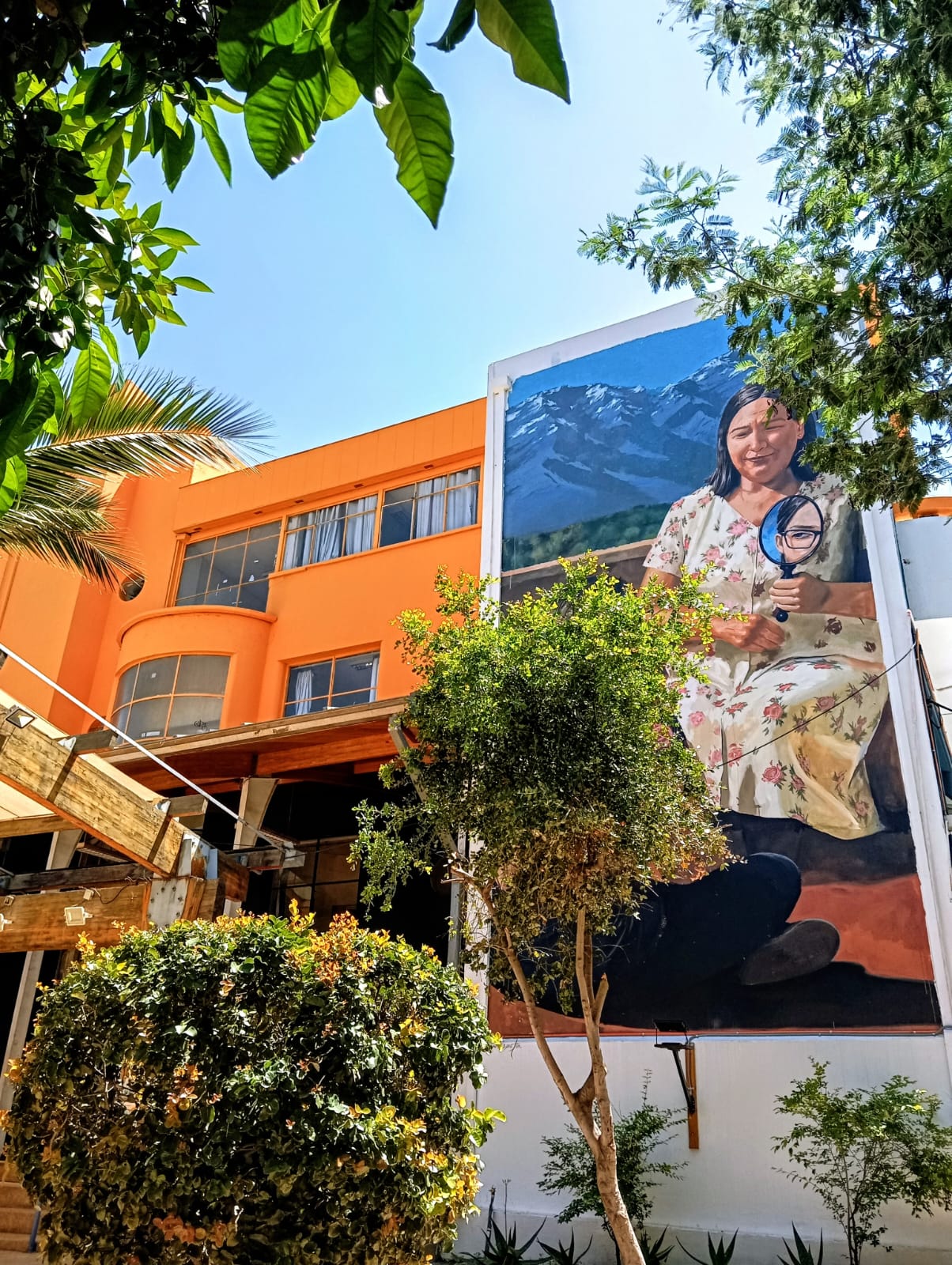 Avances y desafíos UAcademia