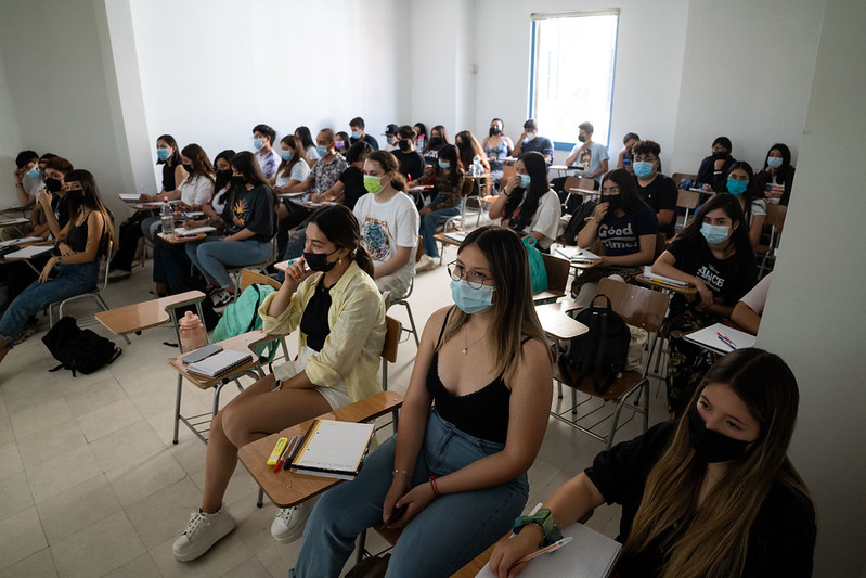 Estudiar Terapia Ocupacional: qué se aprende, áreas de trabajo y por qué es una carrera con impacto social